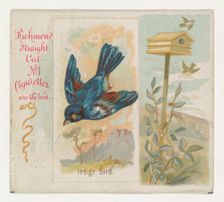 Indigo Bird, from the Song Birds of the World series (N42) for Allen & Ginter Cigarettes, ..., 1890. Creator: Allen & Ginter