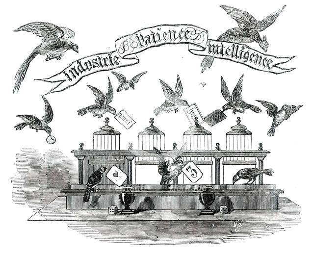 Industrie, Patience, Intelligence - birds trained by Emilie Vandermeersch, 1850. Creator: Unknown.