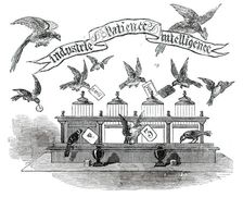 Industrie, Patience, Intelligence - birds trained by Emilie Vandermeersch, 1850. Creator: Unknown