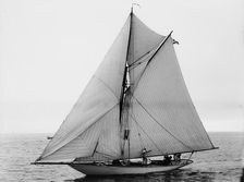 Infanta, 1896 July 22. Creator: John S Johnston