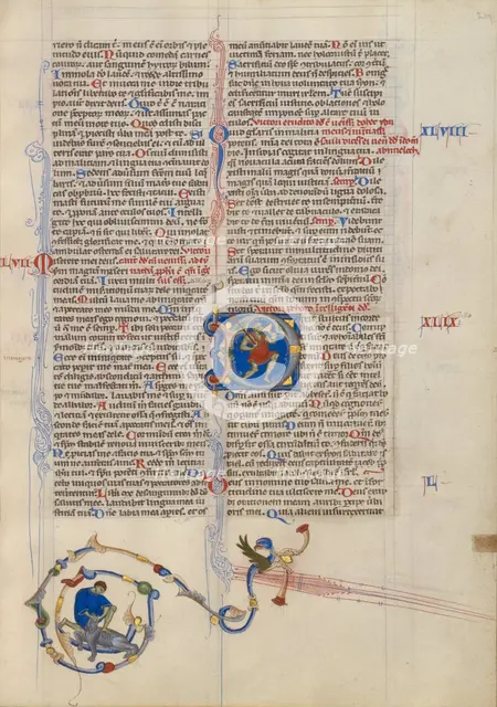 Initial D: The Fool; Abbey Bible, about 1250-1262. Creator: Unknown.