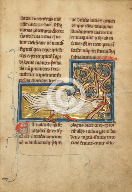 Initial D: The Lord Enthroned with Hands Open; Bute Psalter, text and illumination about 1285. Creator: Bute Master.