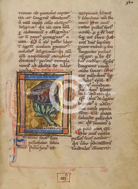 Initial D: The Mocking of Christ; Bute Psalter, text and illumination about 1330. Creator: Atelier of the Passion Master.