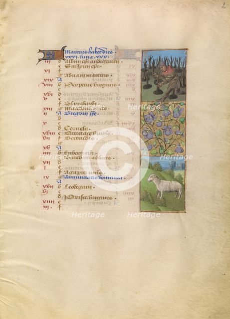 Initial E: A Prophet Holding a Scroll; Bute Psalter, text and illumination about 1285. Creator: Bute Master.