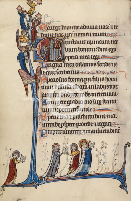 Initial E: David Playing the Harp; Bute Psalter, text and illumination about 1285. Creator: Bute Master.