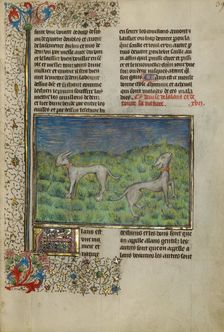 Initial L: One Man Swearing Fealty to Another Man; Bute Psalter, text and illumination about 1285. Creator: Bute Master