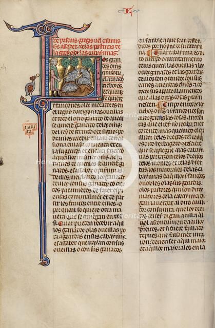 Initial L: A Shepherd with a Flock; Vidal Mayor, about 1290-1310. Creator: Unknown.