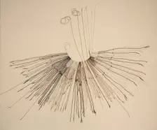 Inka Khipu (Fiber Recording Device), c. 1400-1532. Creator: Unknown