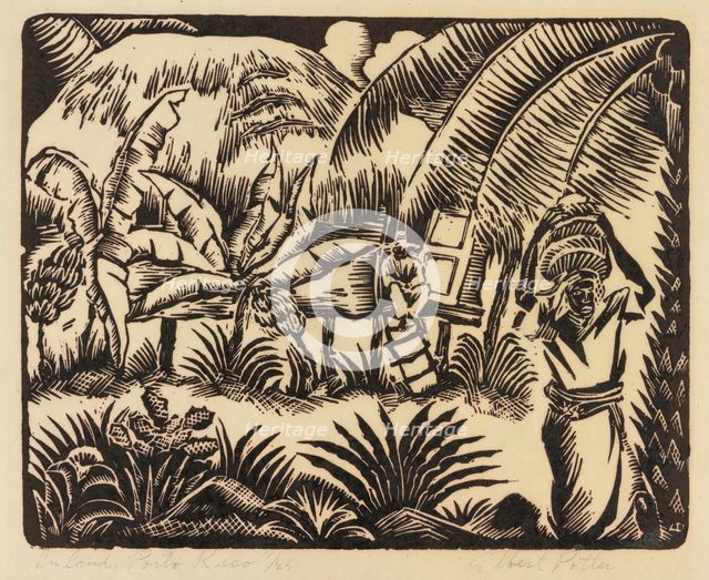 Inland, Porto Rico, ca.1935 - 1937. Creator: Albert Potter.