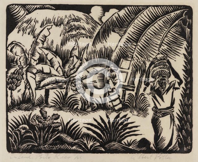 Inland, Porto Rico, ca.1935 - 1937. Creator: Albert Potter.