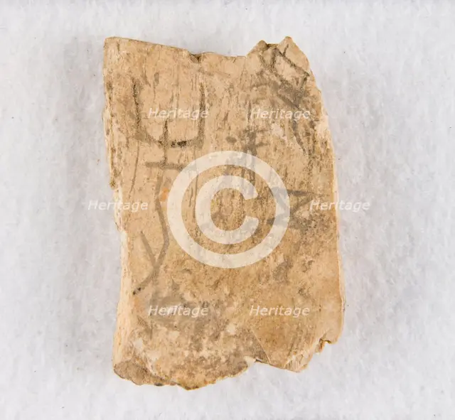Inscribed bone fragment ("oracle bone"), Late Shang dynasty, ca. 1300-1050 BCE. Creator: Unknown.