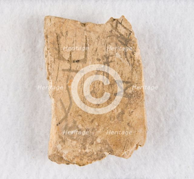 Inscribed bone fragment ("oracle bone"), Late Shang dynasty, ca. 1300-1050 BCE. Creator: Unknown.