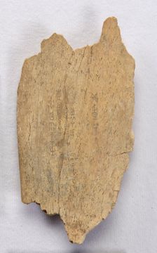 Inscribed bone fragment ("oracle bone"), Late Shang dynasty, ca. 1300-1050 BCE. Creator: Unknown