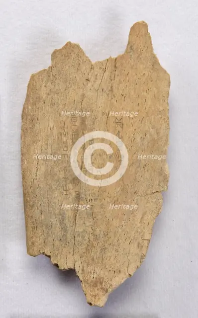 Inscribed bone fragment ("oracle bone"), Late Shang dynasty, ca. 1300-1050 BCE. Creator: Unknown.