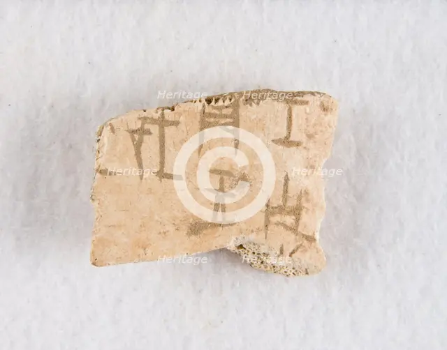 Inscribed bone fragment ("oracle bone"), Late Shang dynasty, ca. 1300-1050 BCE. Creator: Unknown.