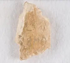 Inscribed bone fragment ("oracle bone"), Late Shang dynasty, ca. 1300-1050 BCE. Creator: Unknown