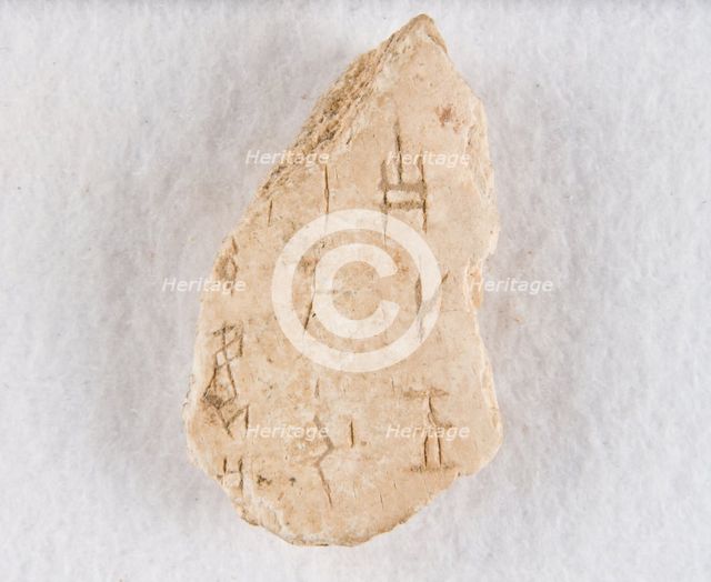 Inscribed bone fragment ("oracle bone"), Late Shang dynasty, ca. 1300-1050 BCE. Creator: Unknown.