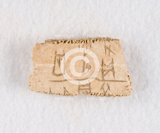 Inscribed bone fragment ("oracle bone"), Late Shang dynasty, ca. 1300-1050 BCE. Creator: Unknown.