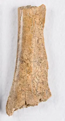 Inscribed bone fragment ("oracle bone"), Late Shang dynasty, ca. 1300-1050 BCE. Creator: Unknown