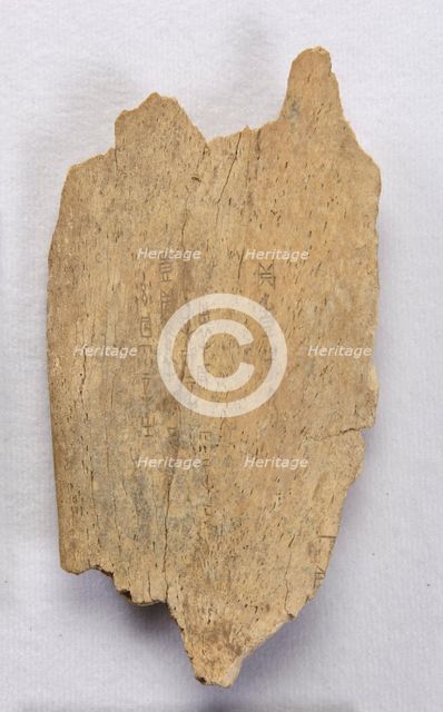 Inscribed bone fragment ("oracle bone"), Late Shang dynasty, ca. 1300-1050 BCE. Creator: Unknown.