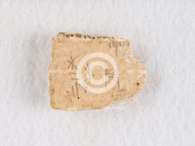 Inscribed bone fragment ("oracle bone"), Late Shang dynasty, ca. 1300-1050 BCE. Creator: Unknown.