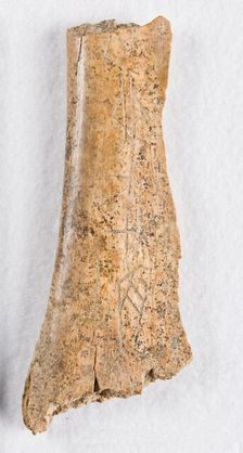 Inscribed bone fragment ("oracle bone"), Late Shang dynasty, ca. 1300-1050 BCE. Creator: Unknown