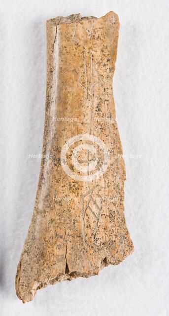 Inscribed bone fragment ("oracle bone"), Late Shang dynasty, ca. 1300-1050 BCE. Creator: Unknown.