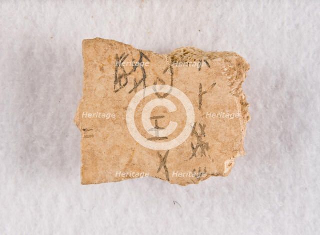 Inscribed bone fragment ("oracle bone"), Late Shang dynasty, ca. 1300-1050 BCE. Creator: Unknown.