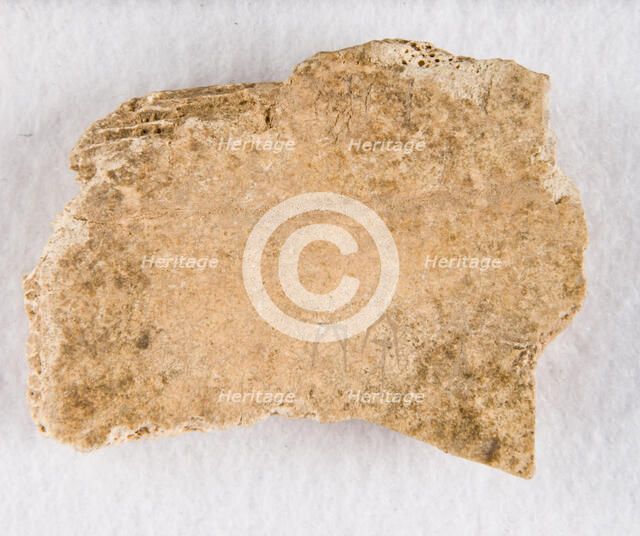 Inscribed bone fragment ("oracle bone"), Late Shang dynasty, ca. 1300-1050 BCE. Creator: Unknown.