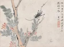 Insect and Tree after Shen Zhou, date unknown, c1652-1690. Creator: Wang Wu