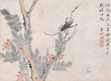 Insect and Tree after Shen Zhou, date unknown, c1652-1690. Creator: Wang Wu