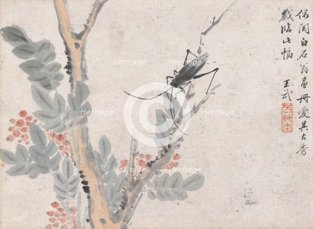 Insect and Tree after Shen Zhou, date unknown, c1652-1690. Creator: Wang Wu.