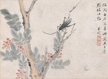 Insect and Tree after Shen Zhou, date unknown, c1652-1690. Creator: Wang Wu