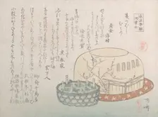 Insect Catcher and Potted Herbs, 19th century., 19th century. Creator: Shinsai