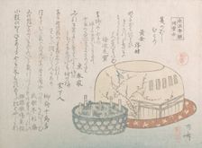 Insect Catcher and Potted Herbs, 19th century., 19th century. Creator: Shinsai