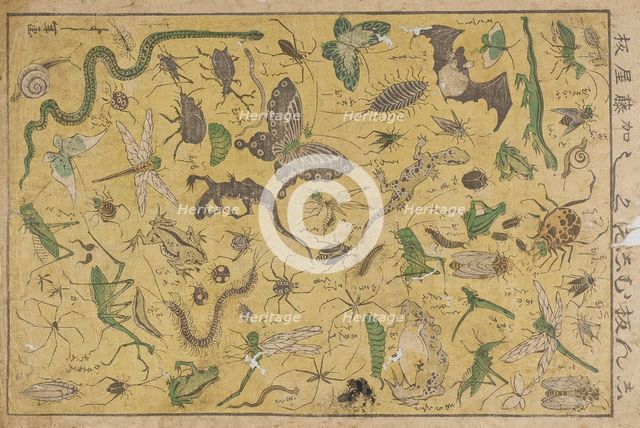 Insects, 19th century. Creator: Tsukioka Yoshitoshi.