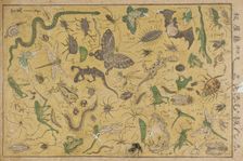 Insects, 19th century. Creator: Tsukioka Yoshitoshi