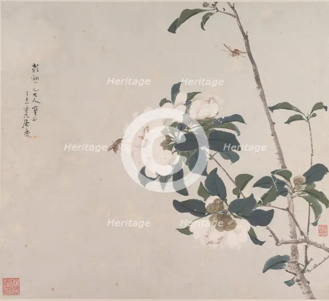 Insects and Flowers. Creator: Ju Lian.