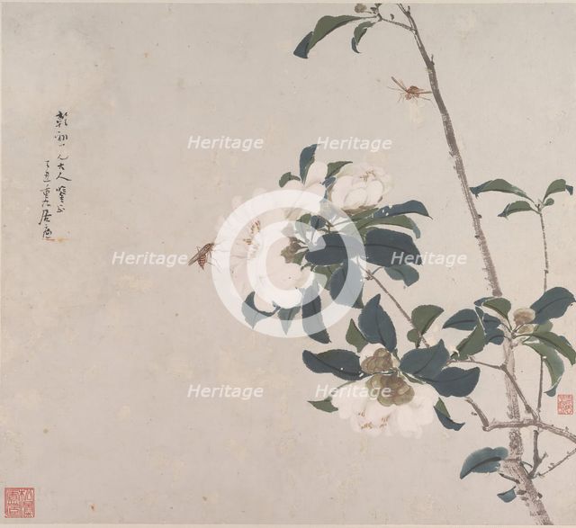 Insects and Flowers. Creator: Ju Lian.