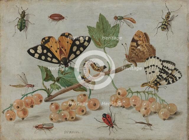 Insects and Fruit, c.1653-c.1661. Creator: Jan van Kessel.
