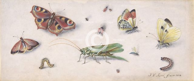 Insects, Butterflies, and a Grasshopper, 17th century. Creator: Jan van Kessel.