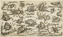 Insects, reptiles, snails, and fish on minimal ground with water in foreground..., 1572. Creator: Virgil Solis