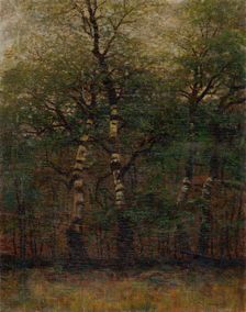 Inside of Birch Forest, 1900-1910. Creator: Ladislav Mednyanszky