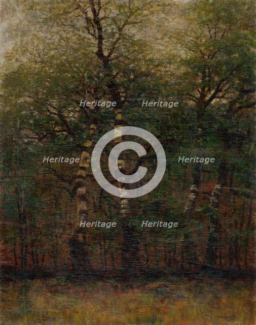 Inside of Birch Forest, 1900-1910. Creator: Ladislav Mednyanszky.
