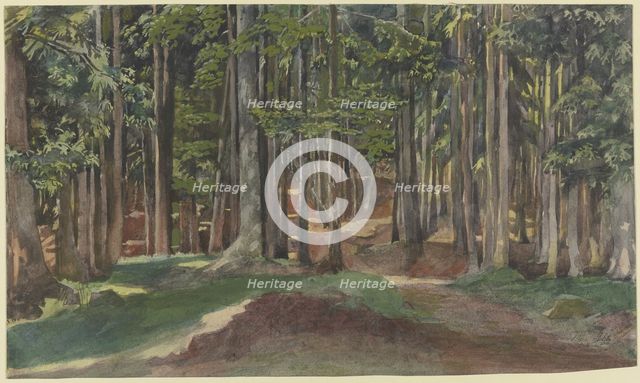 Inside a forest, 19th century. Creator: Theodor Alt.