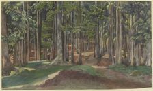 Inside a forest, 19th century. Creator: Theodor Alt