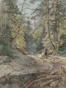 Inside the forest, 1842. Creator: Joseph Hoger