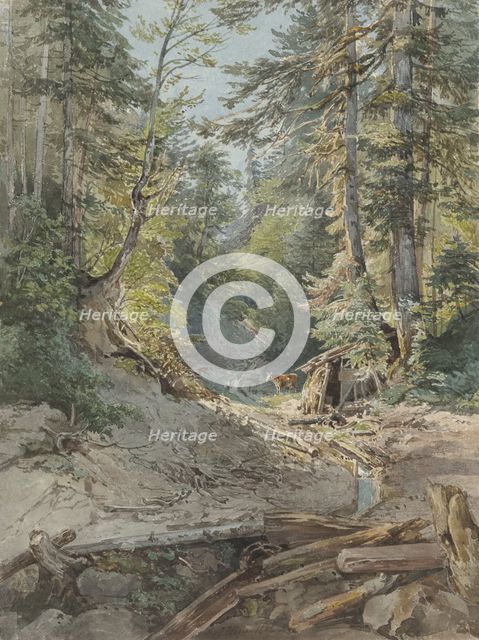 Inside the forest, 1842. Creator: Joseph Hoger.