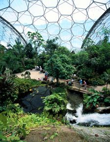 Inside the Humid Tropics Biome, Eden Project, Cornwall. Creator: Peter Thompson