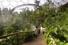 Inside the Humid Tropics Biome, Eden Project, near St Austell, Cornwall. Creator: Peter Thompson
